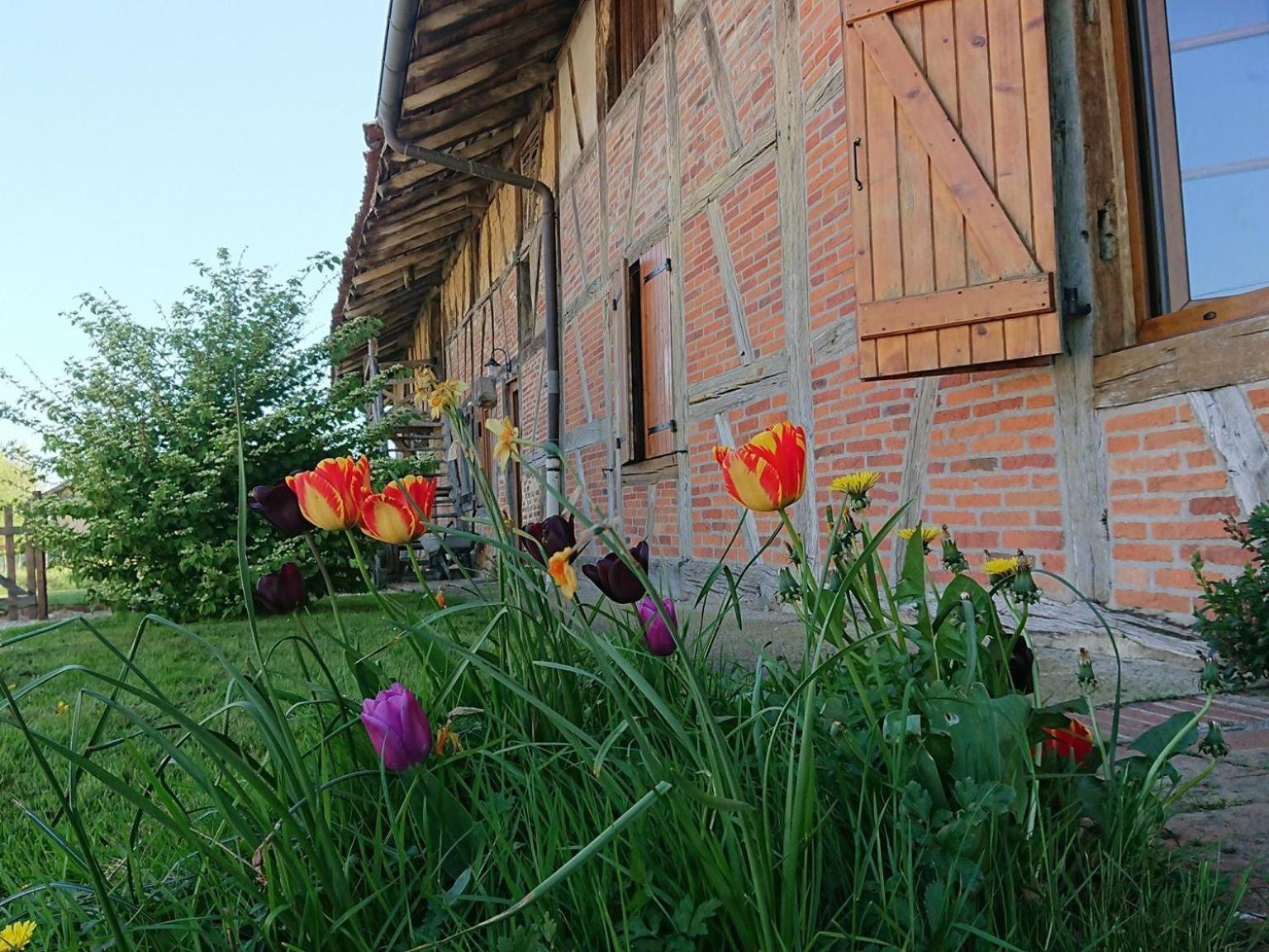 A La Poularde B&B Curciat-Dongalon Bagian luar foto