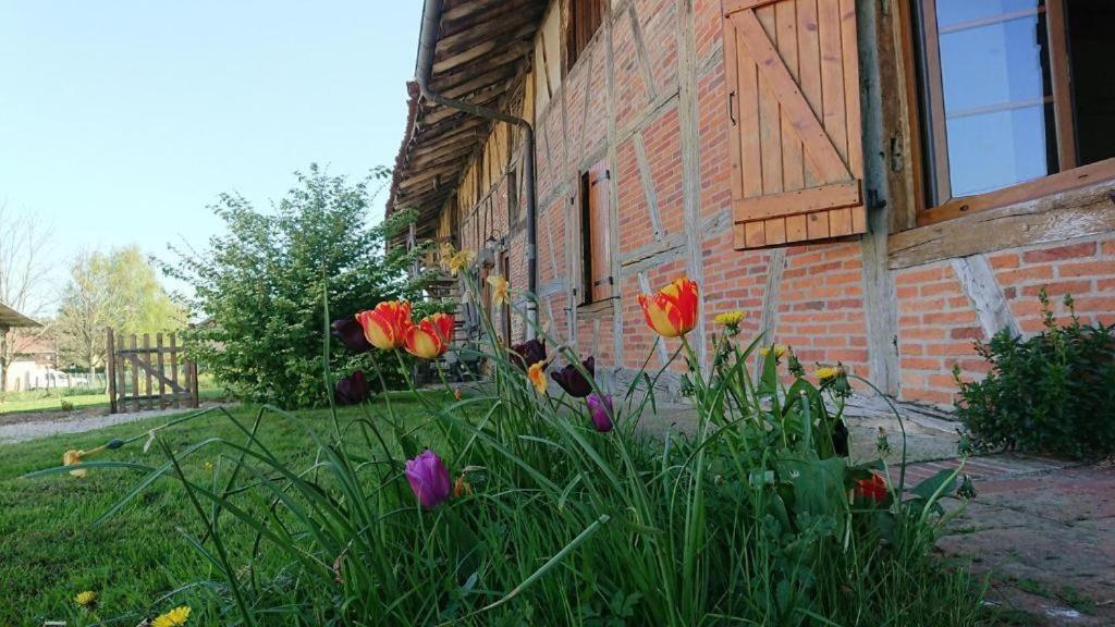 A La Poularde B&B Curciat-Dongalon Ruang foto